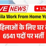 Mahila Work From Home Yojana